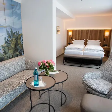 Wiese Otel 4*