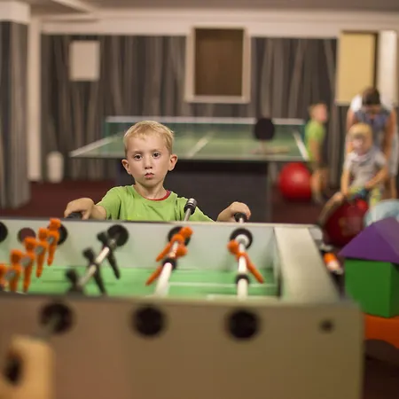 Jagdhaus Wiese فندق 4*