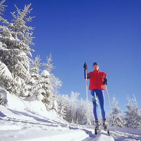 Szálloda Jagdhaus Wiese Schmallenberg