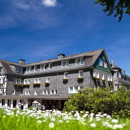 Wiese Otel 4*