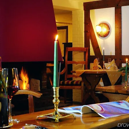Wiese Otel 4*