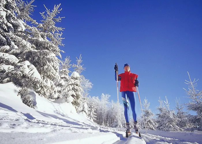 Hotel Wiese Schmallenberg